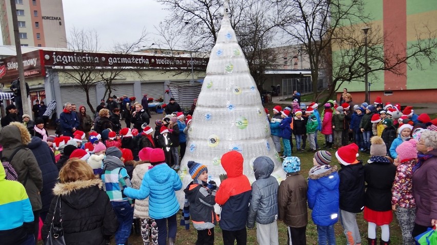 Mikołajki z ProNaturą na Błoniu. Tak wygląda choinka z butelek [zdjęcia, wideo]