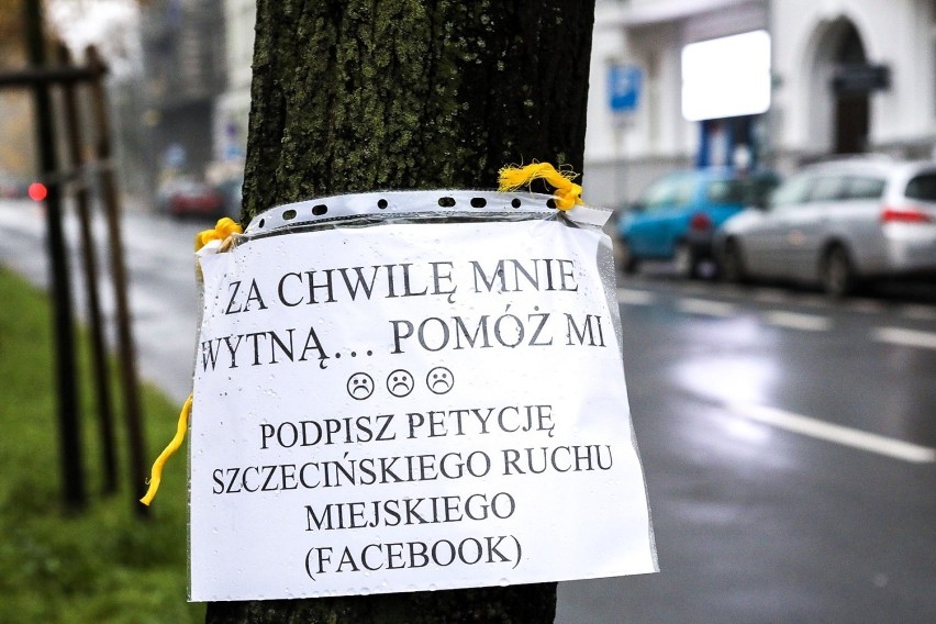 Protestowali na pl. Szarych Szeregów: "Drzew wycinanie to miasta rujnowanie"