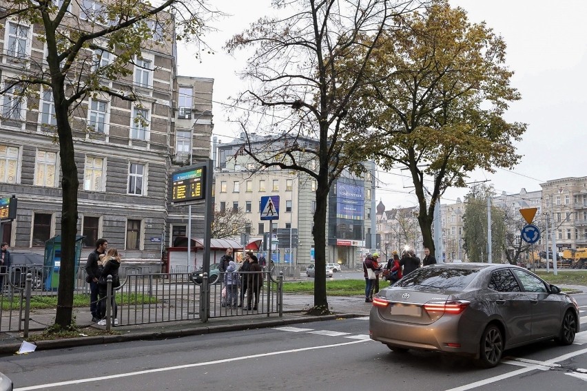 Protestowali na pl. Szarych Szeregów: "Drzew wycinanie to miasta rujnowanie"