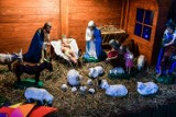 Bożonarodzeniowe szopki stanęły w parafiach w Bydgoszczy. To piękna tradycja [zdjęcia]