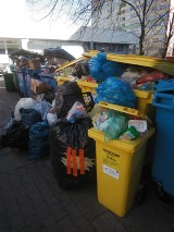 Wrocław jest jak wielki śmietnik. Odpadki leżą na chodnikach, podwórkach (ZDJĘCIA)