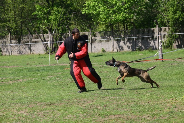 Funkcjonariusze łódzkiego Animal Patrolu przeszli szkolenie, dzięki któremu nauczyli się jak zachowywać się podczas interwencji z agresywnymi psami