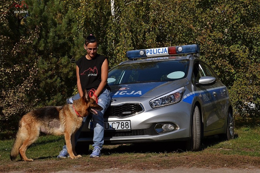 Wrzesińska policja zachęca do adopcji zwierząt ze schroniska [FOTO, FILM]