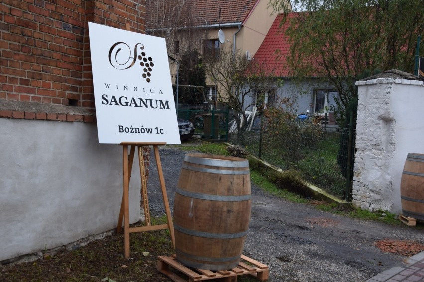 Winiarnia Saganum w Bożnowie, na skraju Żagania