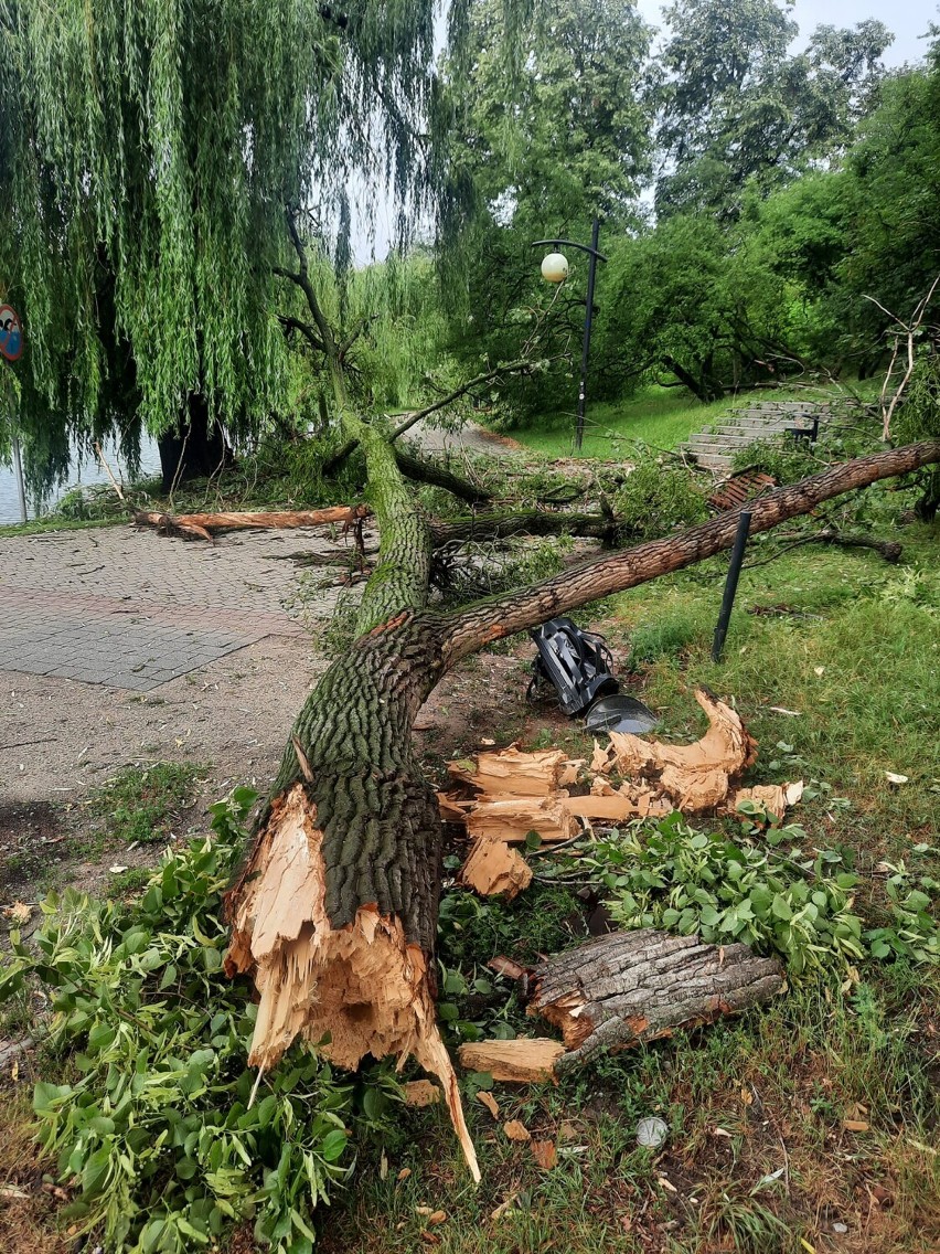 Burze na Mazowszu. Połamane drzewa, zalana jezdnia S8 i...