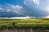 Uwaga! Instytut Meteorologii i Gospodarki Wodnej ostrzega przed burzami w Wielkopolsce