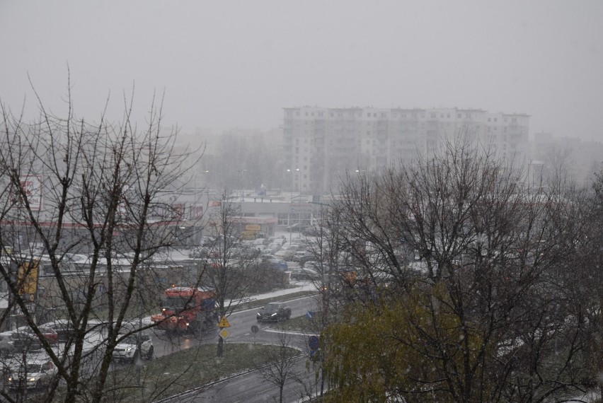 W Kaliszu spadł śnieg. Zobacz, jak wygląda przykryte cienką...