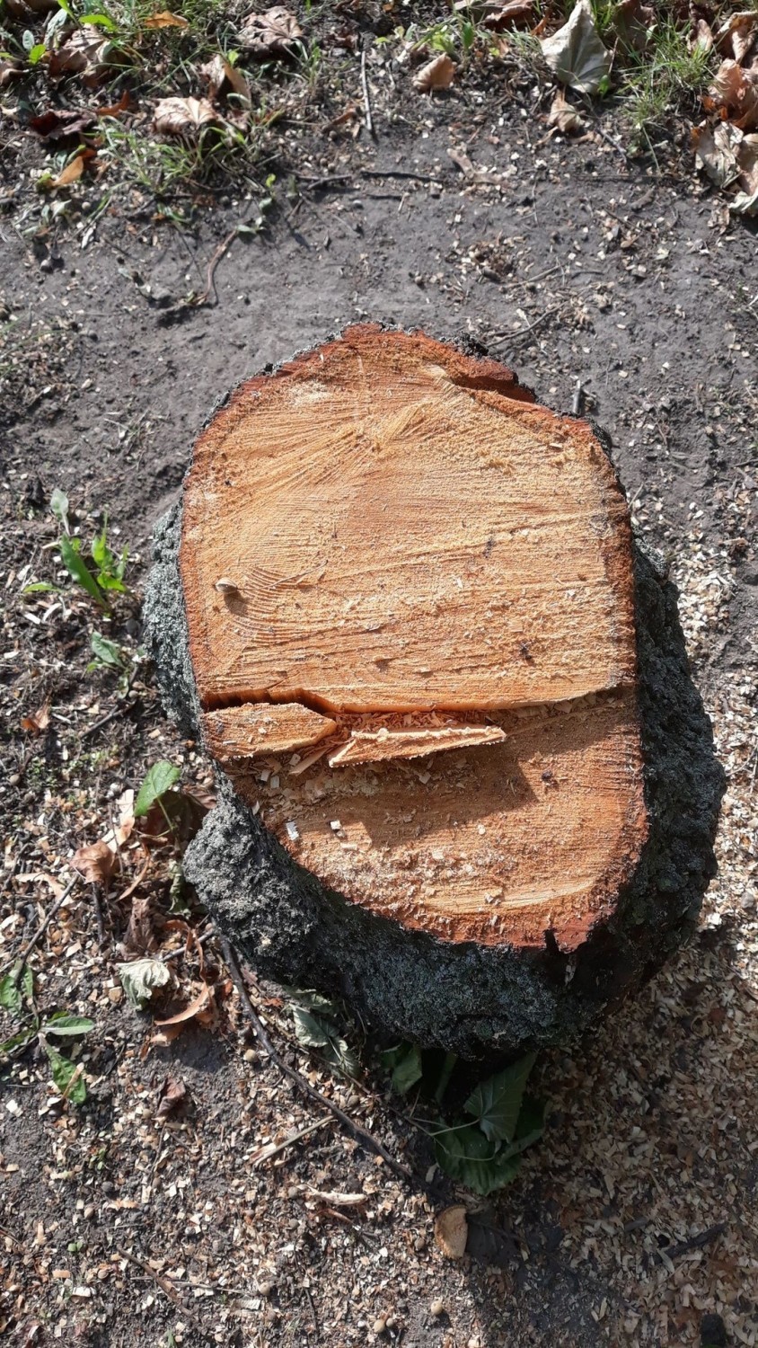 Także inni mieszkańcy Poznania wyrażają swoje zaniepokojenie...