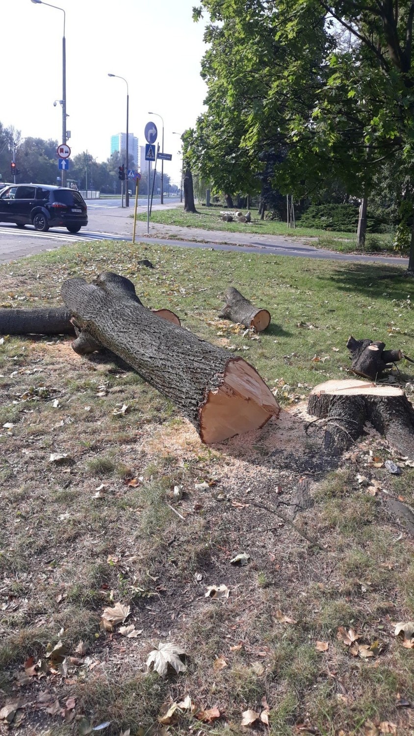 Także inni mieszkańcy Poznania wyrażają swoje zaniepokojenie...