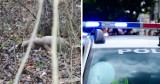 40-letni kłusownik, wpadł w ręce policjantów, po tym jak uśmiercił dwie sarny. Mężczyzna nielegalnie polował na dzikie zwierzęta 