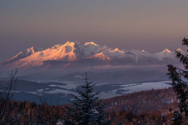 Tatry widziane z Jaworzyny Krynickiej.  Kliknij w przycisk "zobacz galerię" i przesuwaj zdjęcia w prawo - naciśnij strzałkę lub przycisk NASTĘPNE.