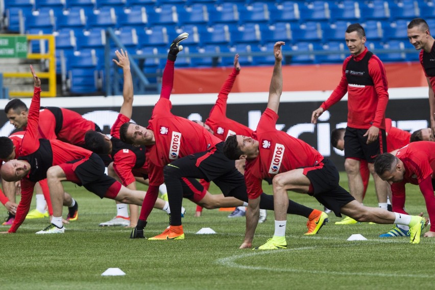 Mecz Polska - Irlandia Północna, Euro 2016, 12 czerwca,...