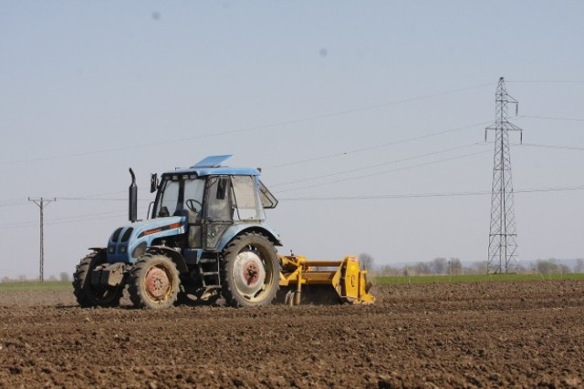 Nowy Dwór Gdański. Rolnicy składają w ARiMR wnioski o dopłaty obszarowe