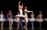 Rosjanie zatańczyli Jezioro Łabędzie w Teatrze Muzycznym [zdjęcia]