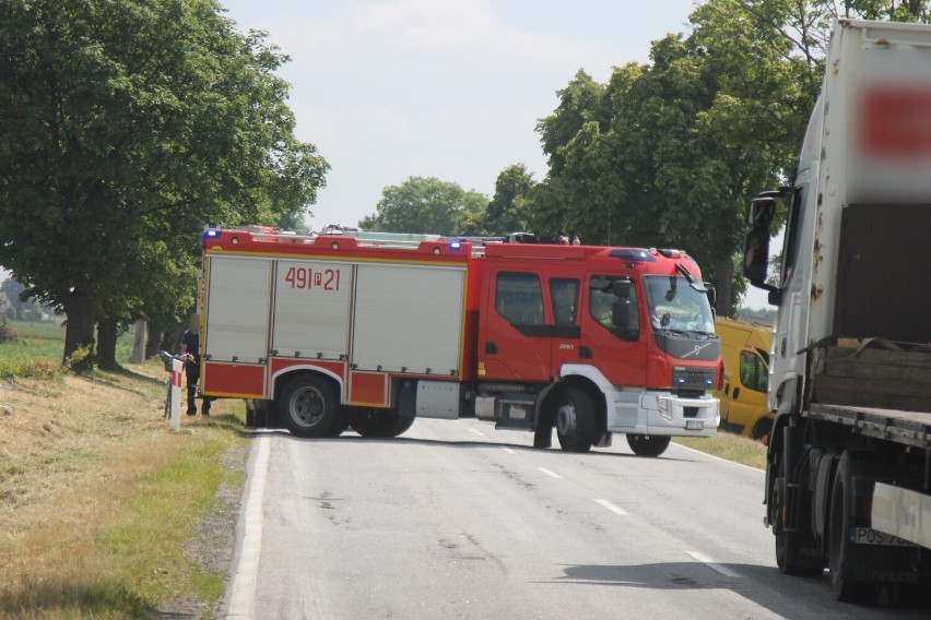 Auto uderzyło w drzewo. Kierowca został zakleszczony w pojeździe [ZDJĘCIA]