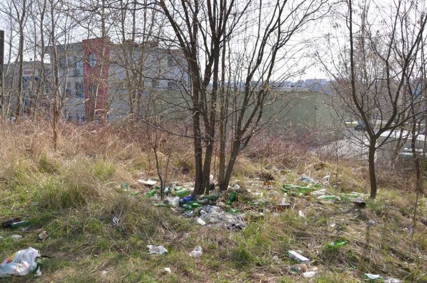 Prezydent Starachowic wzywa do sprzątania