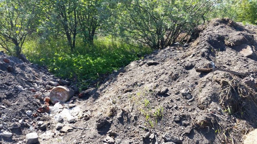 Nielegalne odpady zalegają na gdańskich Rudnikach