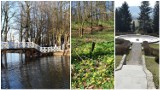 Tarnów. TOP 10 najpiękniejszych parków i rezerwatów przyrody w Tarnowie i regionie. To idealne miejsce na majówkę 