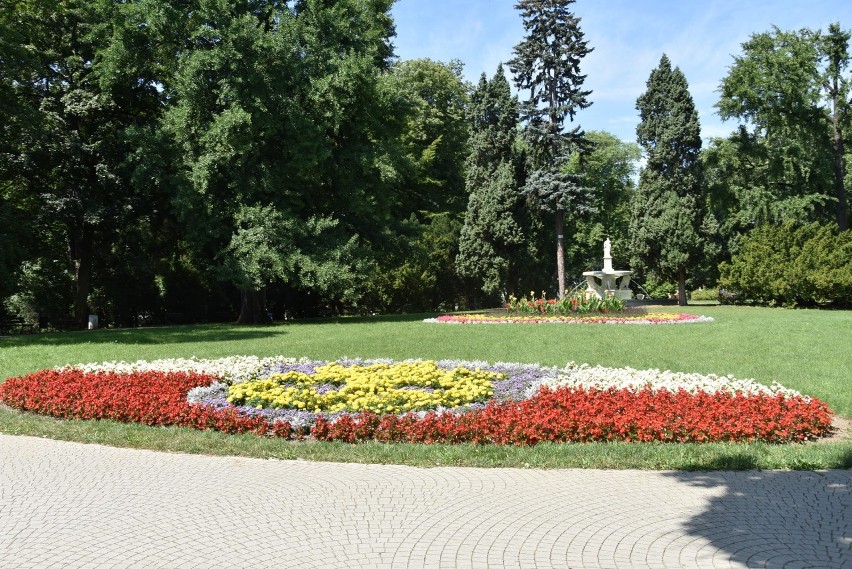 Urzędnicy tarnowskiego magistratu zapowiadają, że będą...