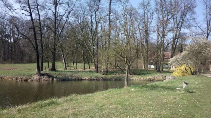 Gołuchowski park został zamknięty w związku z koronawirusem