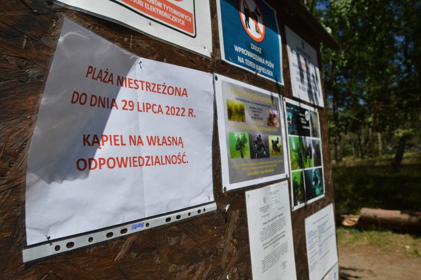 Ratownika w Koczale nie ma, więc kąpiel na własne ryzyko. Nad jeziorem Dymno nie ma plaży strzeżonej