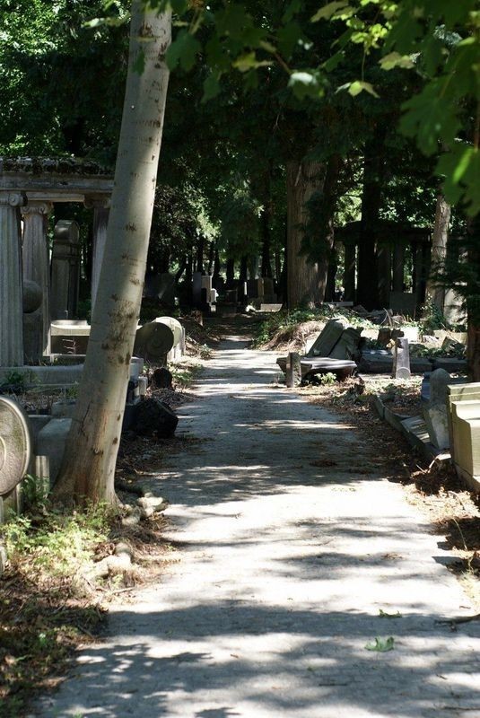 Wrocławskie nekropolie - Cmentarz Żydowski. ZDJĘCIA