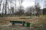 Park Wełnowiecki i "Alpy" zostaną zrewitalizowane. Katowiczanie chcą tu strefy chilloutu, punktu widokowego, ścieżki edukacyjnej i boisk