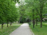 Mieszkańcy Przedborza wybierają nazwę dla parku przy ul. Krakowskiej. ZDJĘCIA