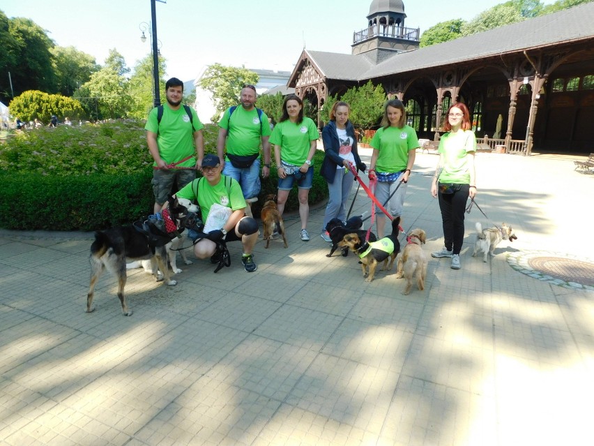 W Szczawnie-Zdroju odbyły się zawody Pucharu Polski w Dogtrekkingu