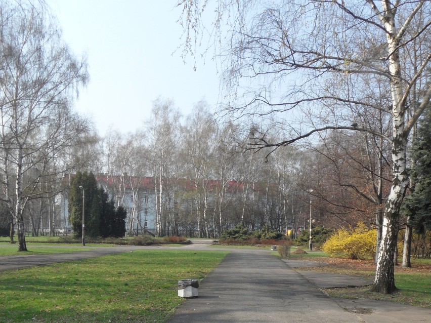 Sosnowiec: Park Sielecki to idealne miejsce na wiosenny spacer [ZDJĘCIA]