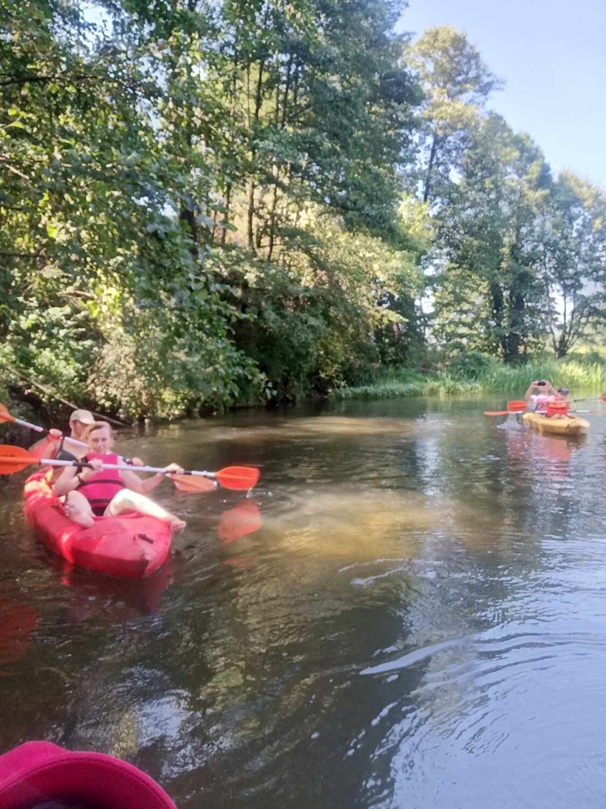Spływ kajakowy Miejskiego Ośrodka Sportu i Rekreacji rzeką Widawką