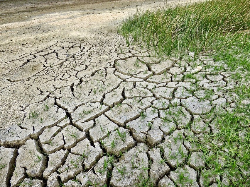 Nawalne deszcze a susza. Czy Polsce w dalszym ciągu zagraża susza?