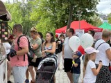 Piknik Rodzinny Rodzina 800+ w Kielcach. Mnóstwo darmowych atrakcji. Byłeś? Znajdź się na zdjęciach