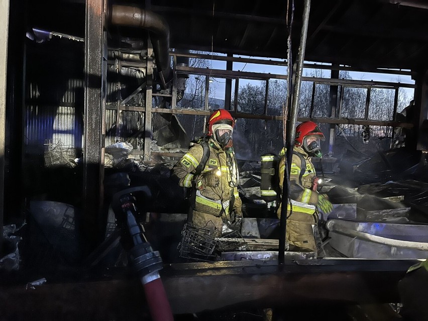 Pożar w Gdańsku. Strażacy ugasili palącą się halę magazynową na terenie Lodmoru 