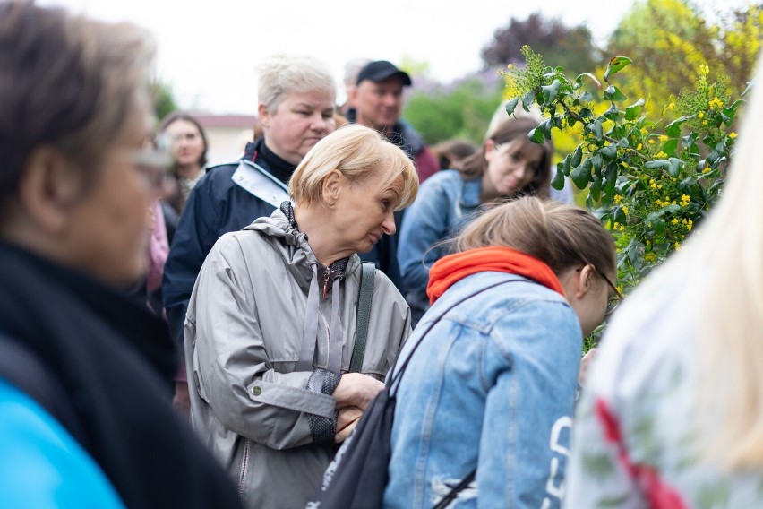  Spacer z przewodnikiem po Ogrodzie Botanicznym UMCS. "O drzewach w wierzeniach i zwyczajach ludowych" 