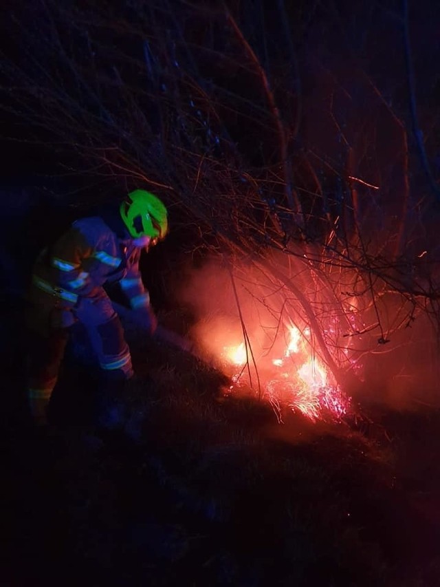 Strażacy z OSP Kokocko i OSP Unisław ugasili pożar trzcicny w Kokocku