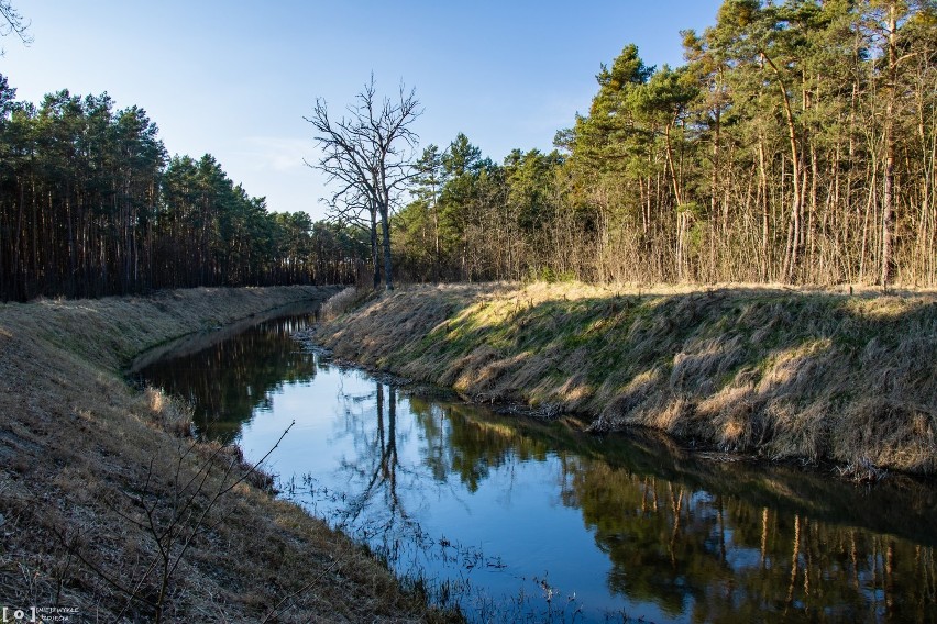 Zapomniany most jest w odległości ok. 30 km od Nowej Soli.