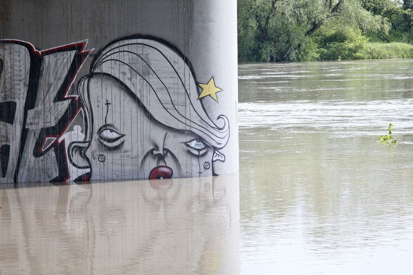 Powódź Małopolska 2014: stany alarmowe na rzekach...