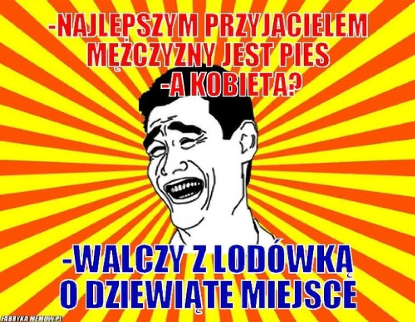 Dziś Międzynarodowy Dzień Przyjaźni. Zobaczcie, jak tę relację widzą internauci