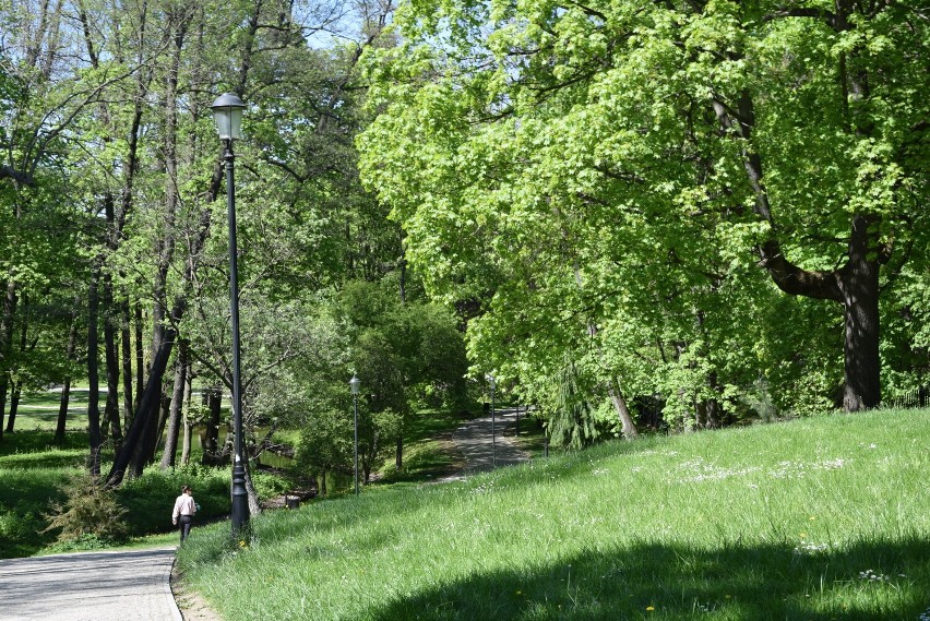 Miejsca w Skierniewicach, gdzie mieszkańcy miasta spędzają w maju najchętniej czas