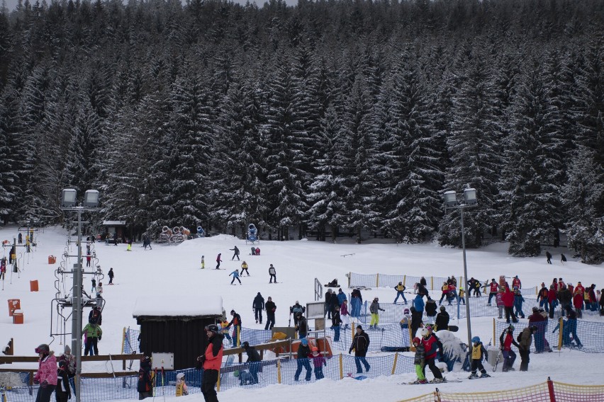 Pierwszy weekend ferii w Czarna Góra Resort. Stoki odwiedziło mnóstwo narciarzy. Zobacz zdjęcia! 