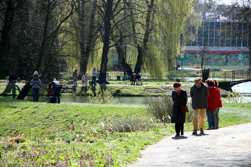 Botanik w Lublinie znowu otwarty. Wiele osób skorzystało z okazji do spaceru po Ogrodzie. Zobacz zdjęcia!