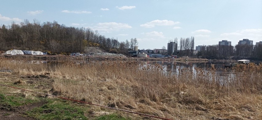 W obrębie rekultywowanego stawu znajdzie się miejsce dla...