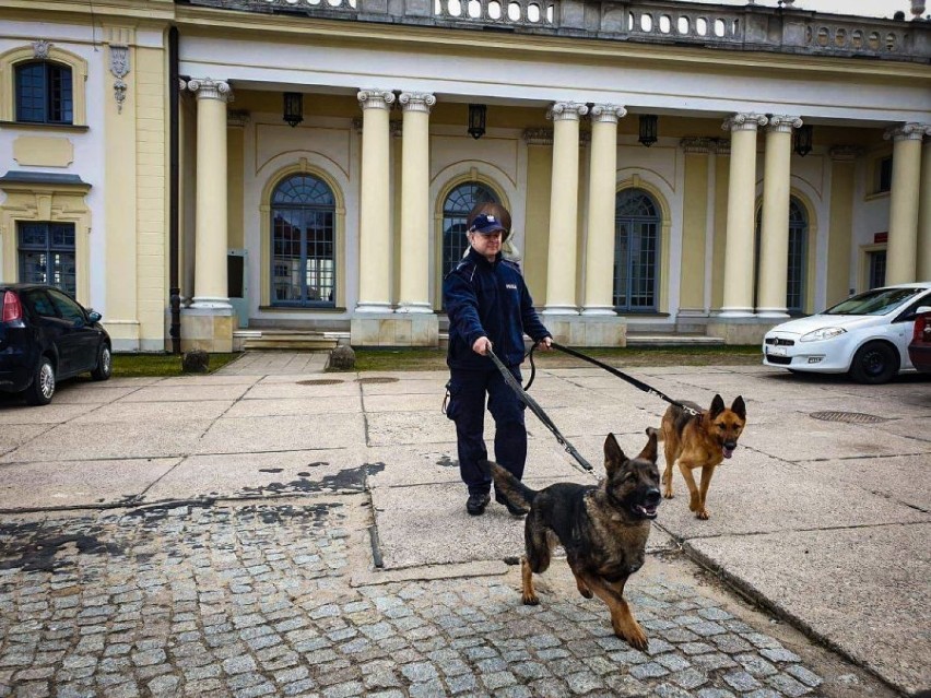 Psy policyjne na szkoleniu w ogrodzie Pałacu Branickich [zdjęcia]