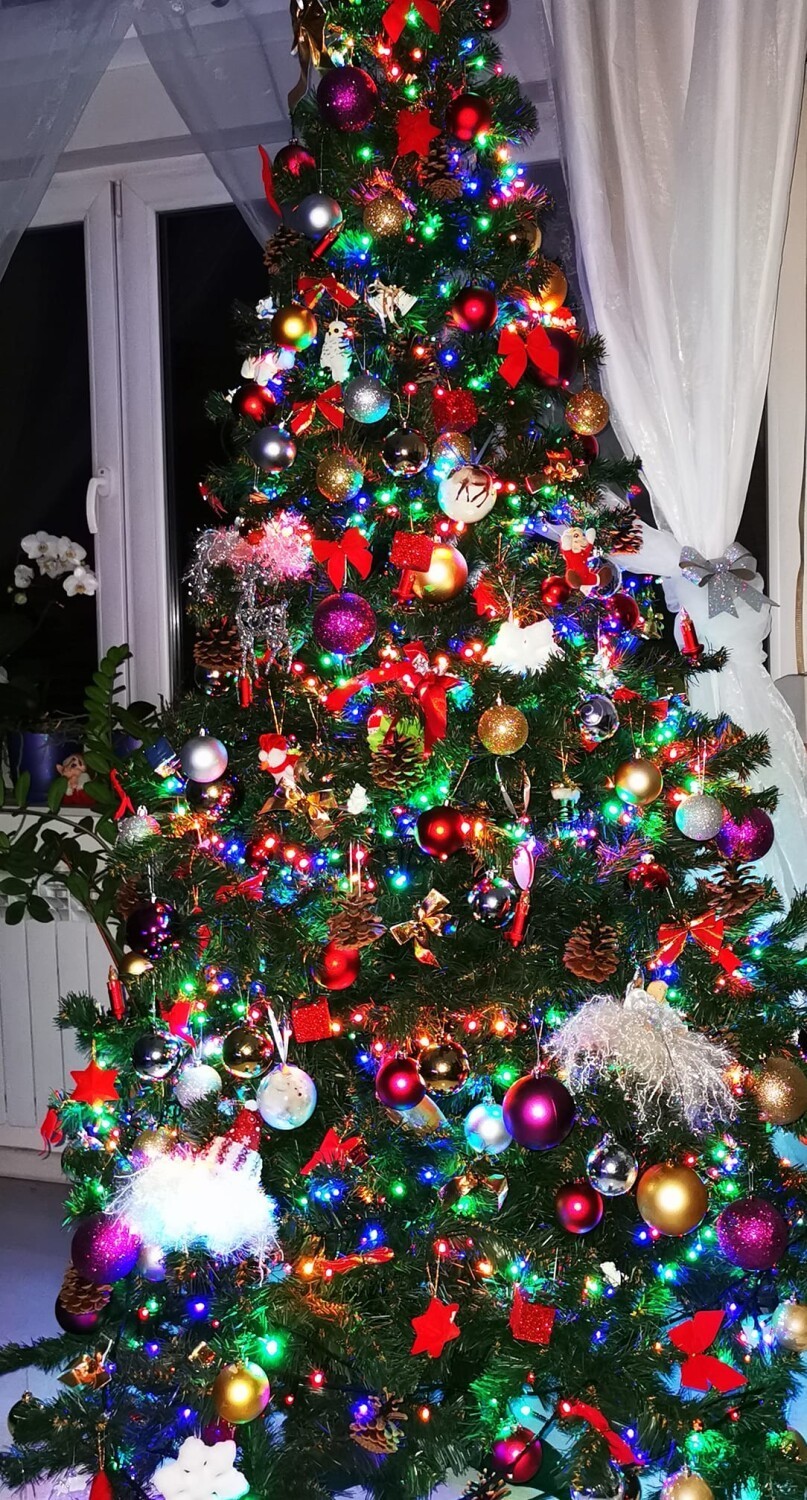Piękne choinki kaliszan. Zobaczcie zdjęcia świątecznych drzewek naszych czytelników