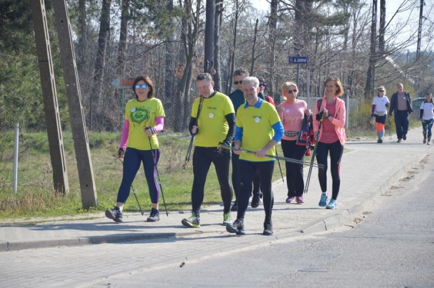 VII Dni Piaśnickie. Rajd Nordic Walking w Orlu [ZDJĘCIA]