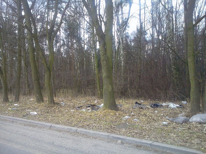 Mieszkańcy informują: Śmieci w Tychach - m. in. na skrzyżowaniu Strefowej i Serdecznej