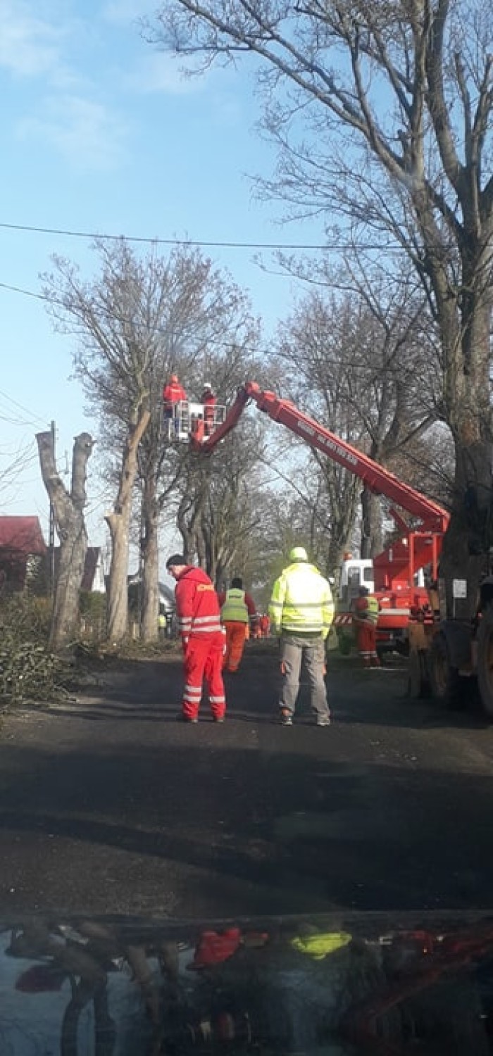 Kolejna aleja drzew została zlikwidowana na rzecz remontu i...