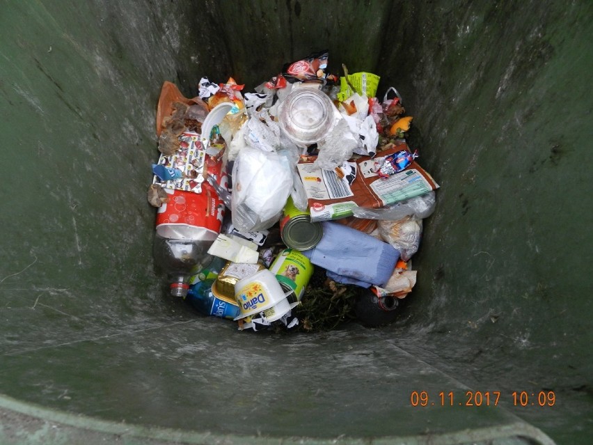 Stegna. Kontrole wykazały, że nie segregują śmieci. Problemem też dzikie wysypiska