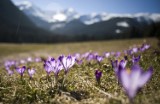 Pogoda w Łodzi i regionie na weekend. Sprawdź prognozę pogody dla Polski sobotę i niedzielę